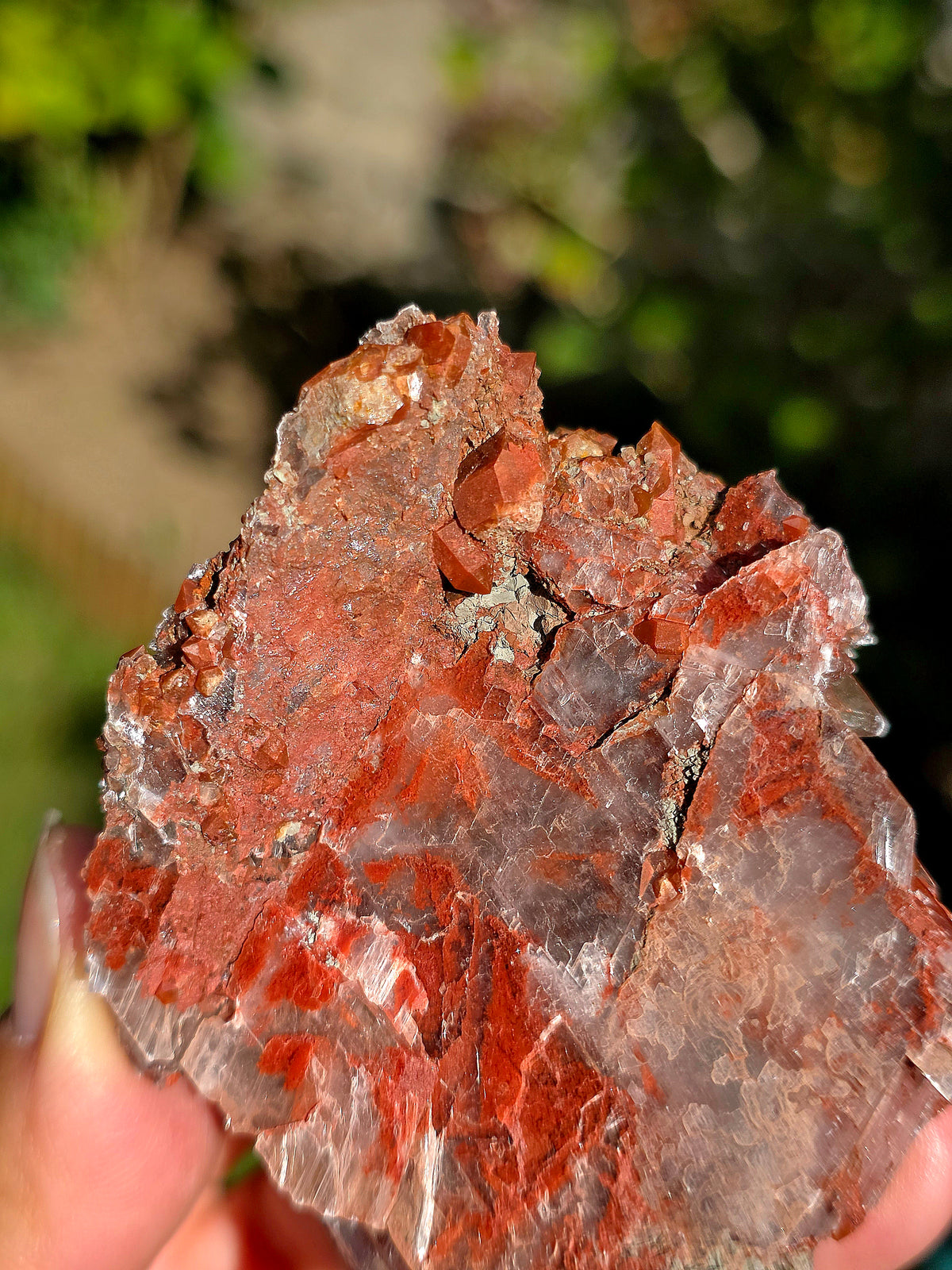 Quartz Hyacinthe (hématoïde) sur Gypse d'Espagne