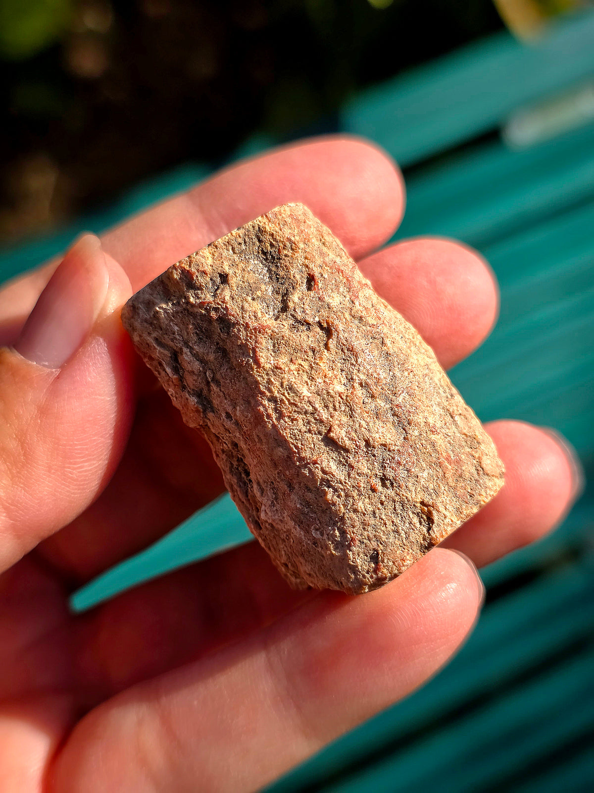 Bois Fossile de Madagascar en rondin