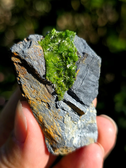 Pyromorphite de la mine de Saint-Salvy dans le Tarn 