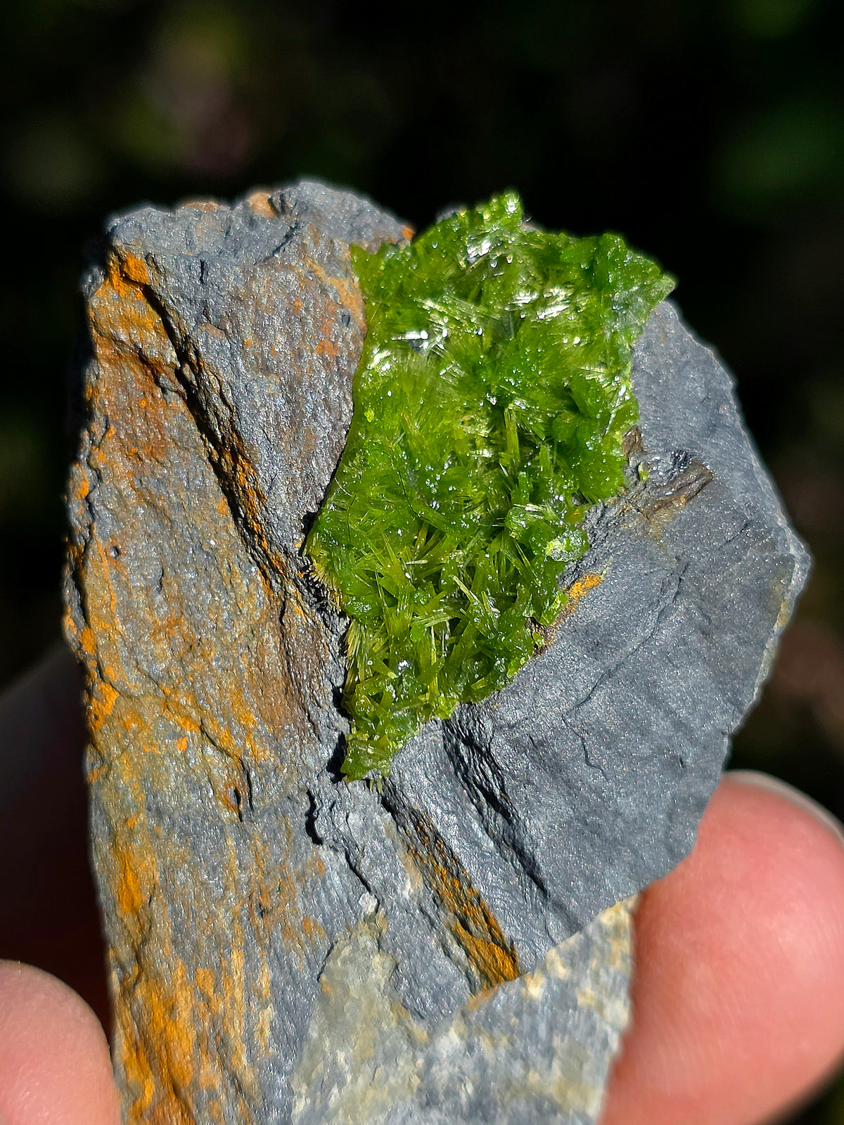 Pyromorphite de la mine de Saint-Salvy dans le Tarn 