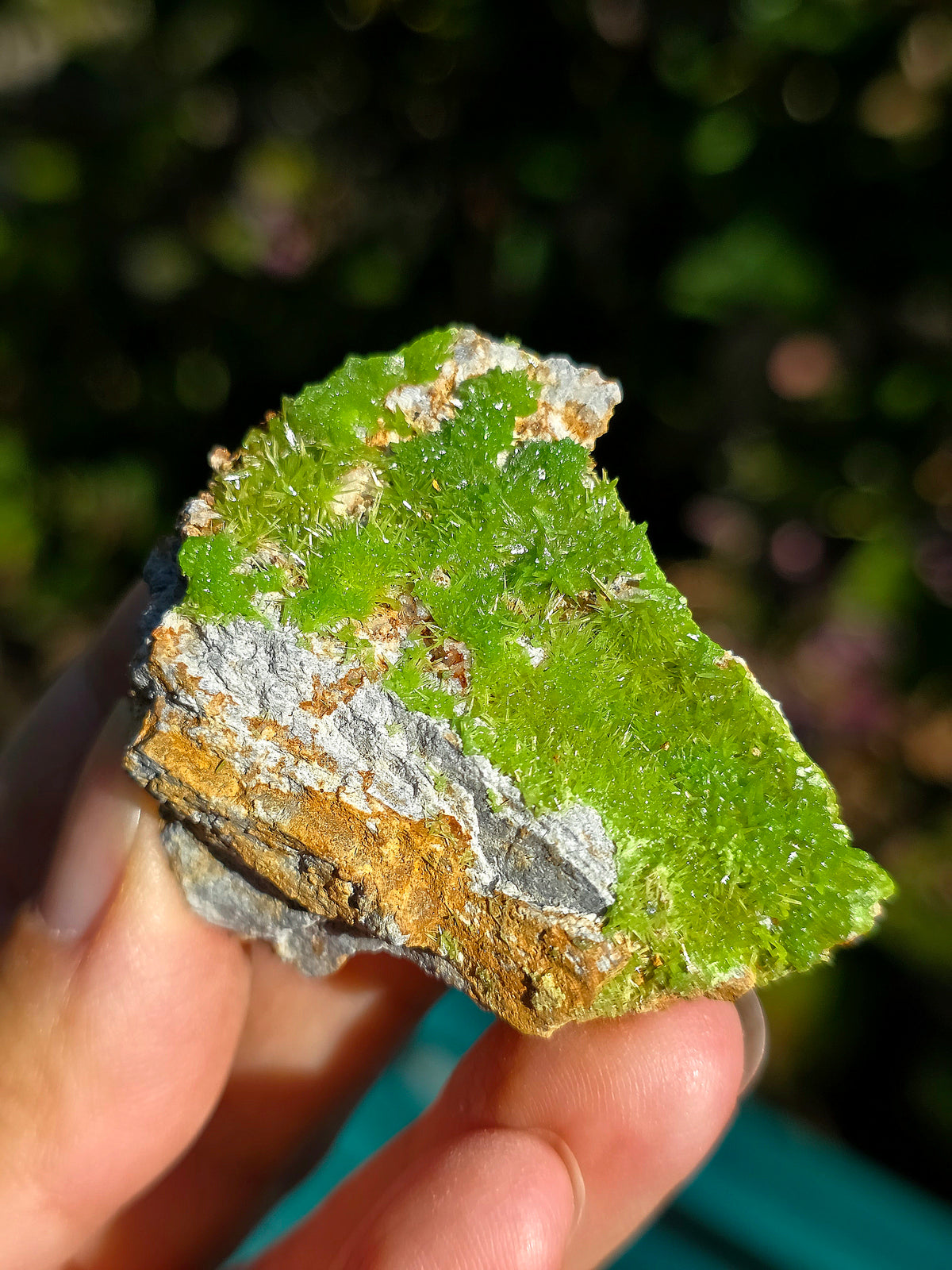 Pyromorphite de la mine de Saint-Salvy dans le Tarn