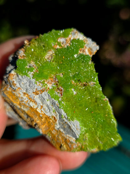 Pyromorphite de la mine de Saint-Salvy dans le Tarn