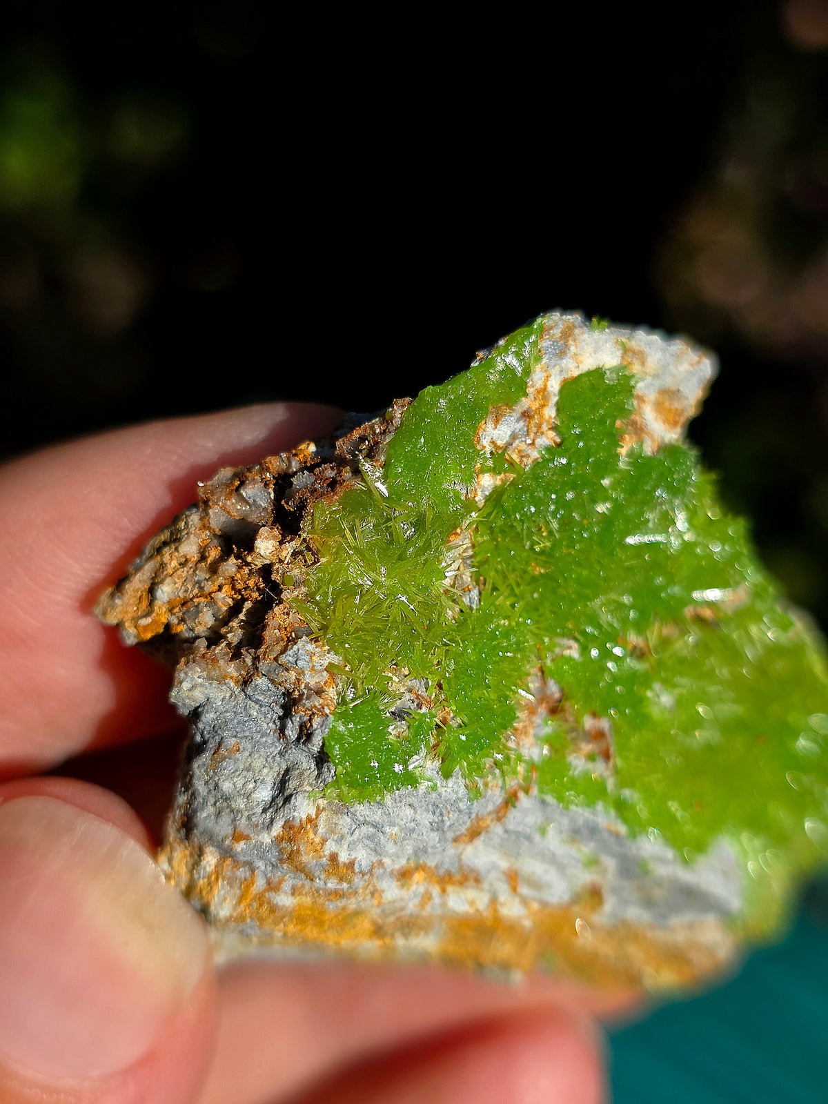 Pyromorphite de la mine de Saint-Salvy dans le Tarn