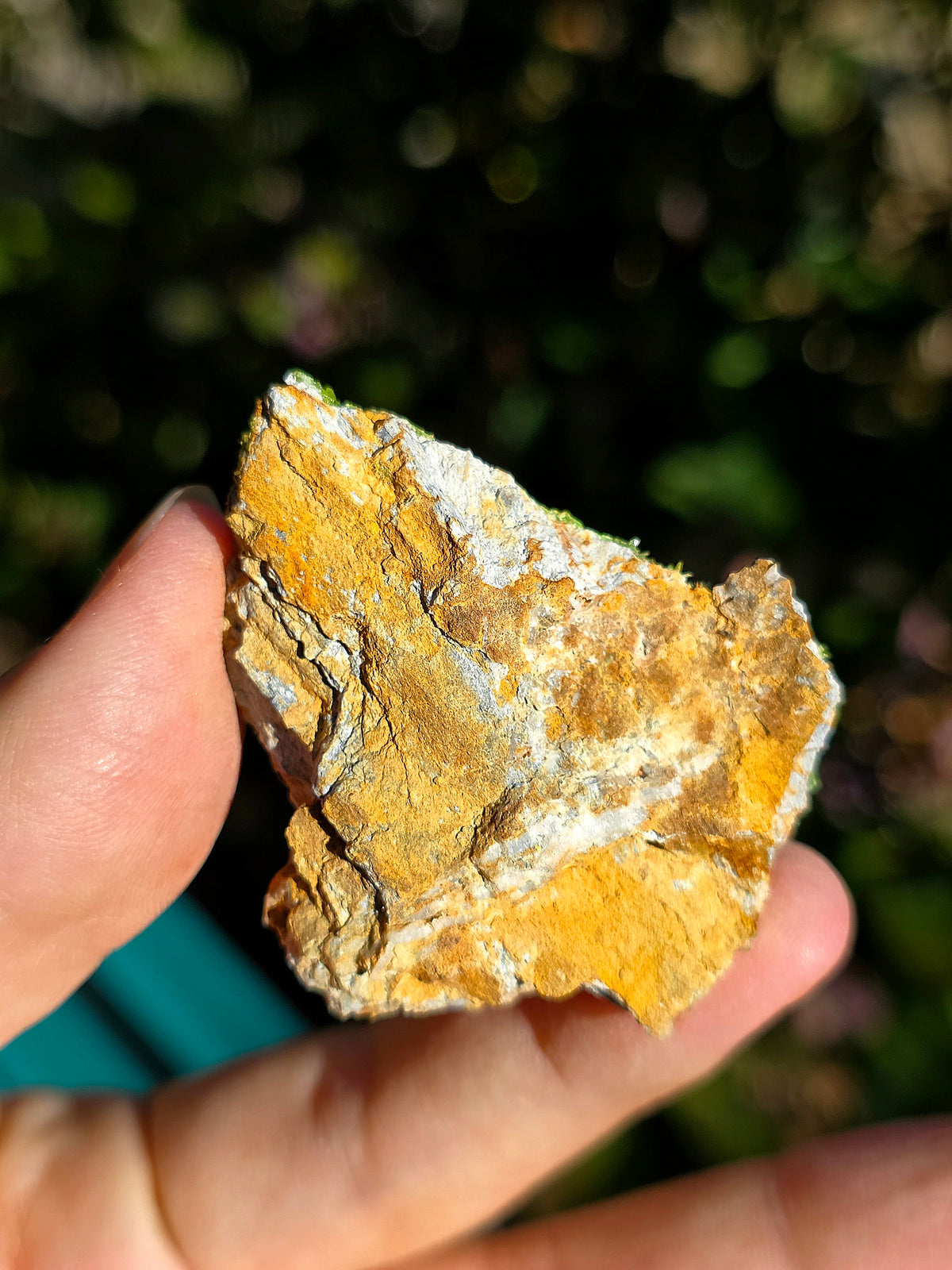 Pyromorphite de la mine de Saint-Salvy dans le Tarn