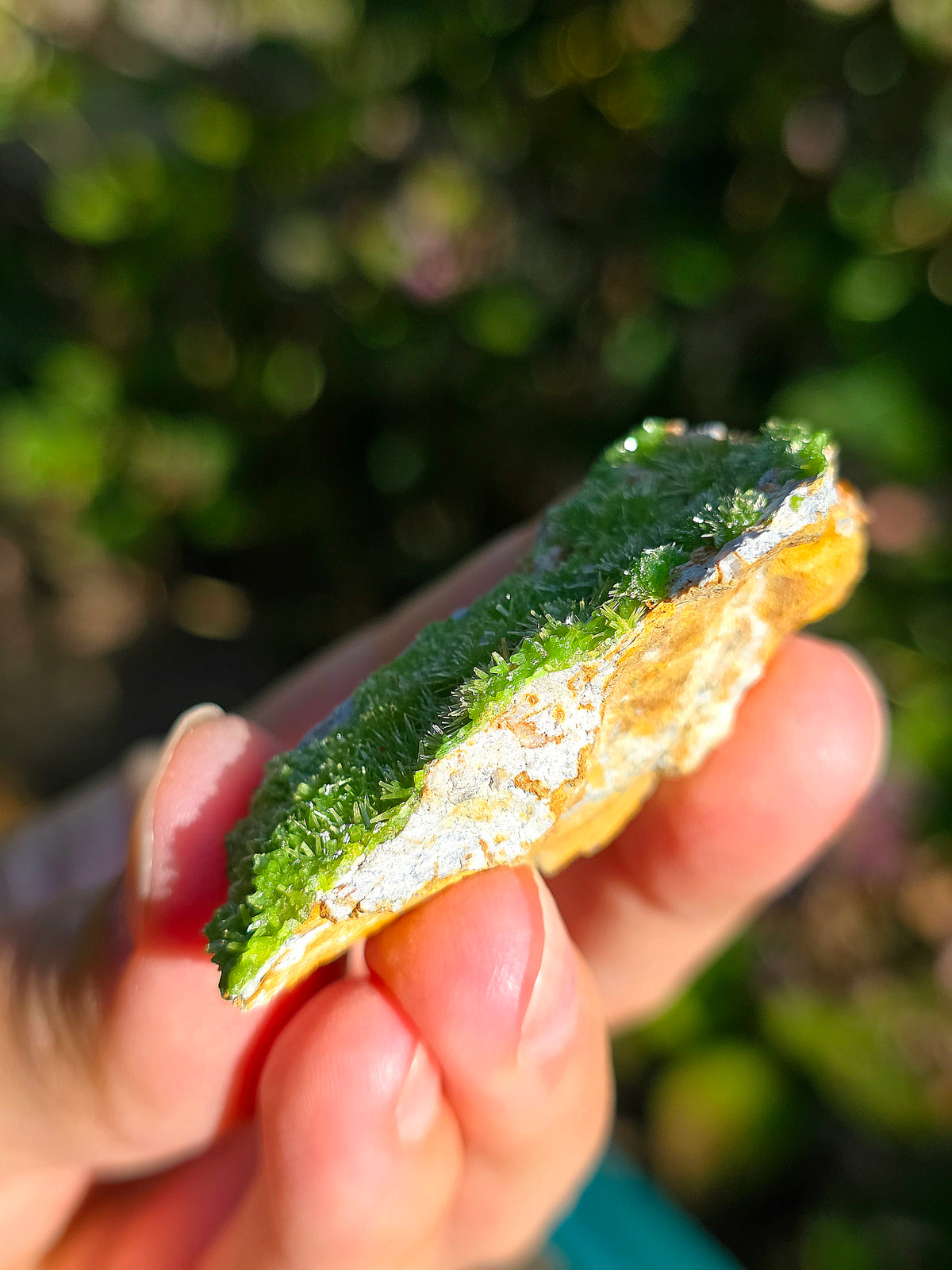 Pyromorphite de la mine de Saint-Salvy dans le Tarn