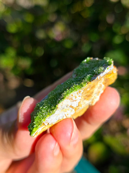 Pyromorphite de la mine de Saint-Salvy dans le Tarn