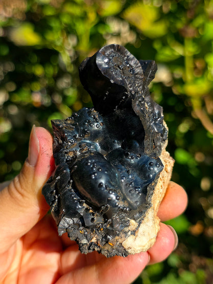 Goethite botryoïdale de Montroc
