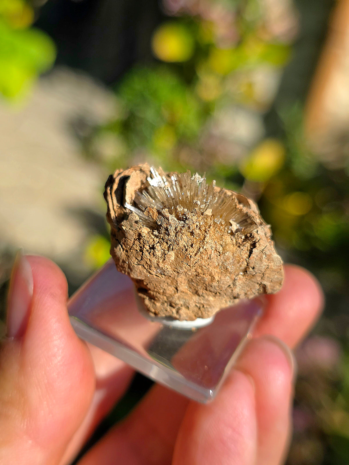 Aragonite aciculaire d'Espagne sur socle