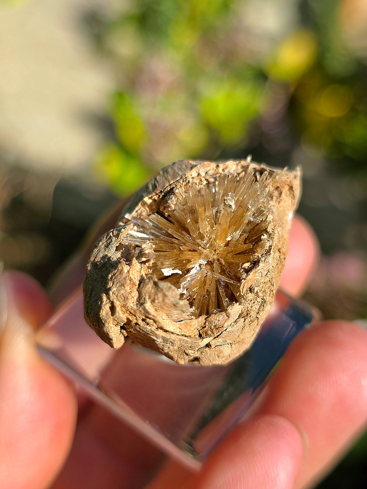 Aragonite aciculaire d'Espagne sur socle