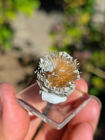 Aragonite aciculaire sur socle d'Espagne