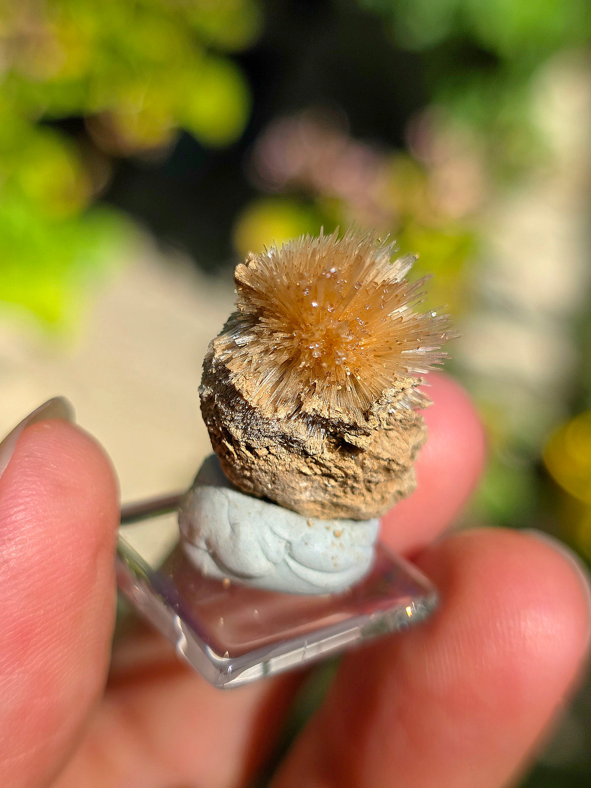 Aragonite aciculaire sur sa marne argileuse de Tolède
