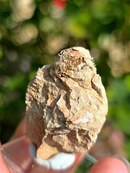 Aragonite aciculaire sur sa marne argileuse