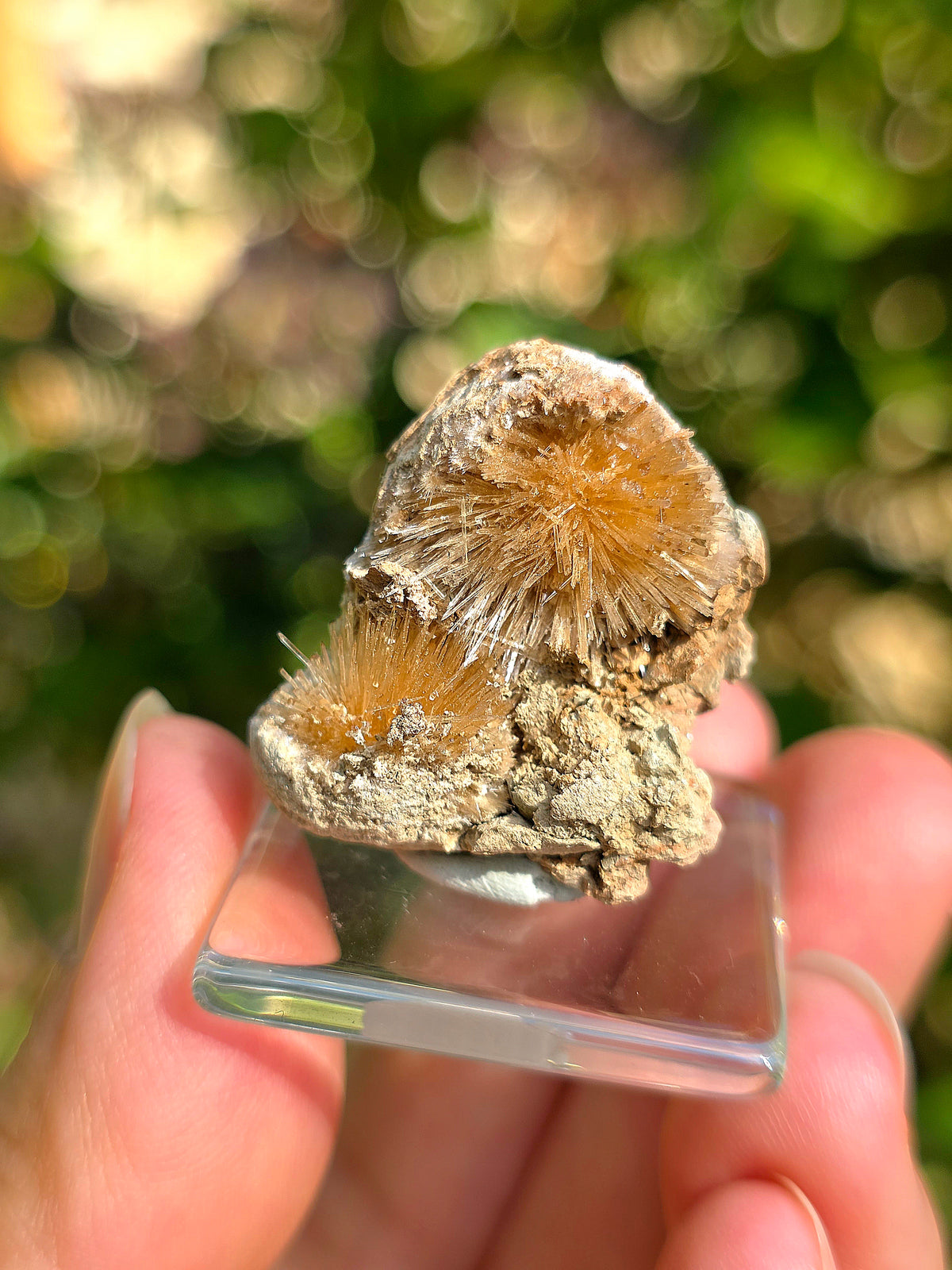 Magnifique Aragonite aciculaire de Tolède