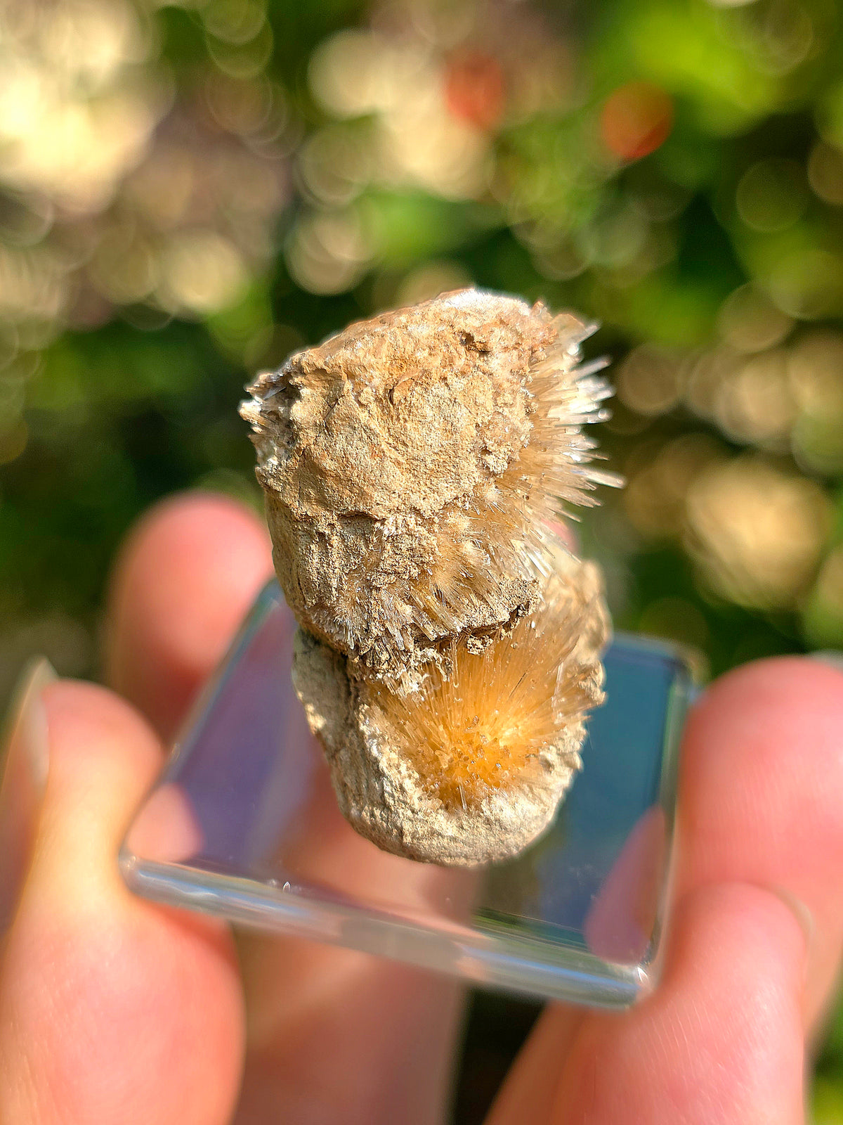 Magnifique Aragonite aciculaire de Tolède