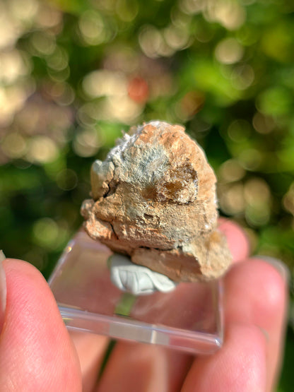 Magnifique Aragonite aciculaire de Tolède
