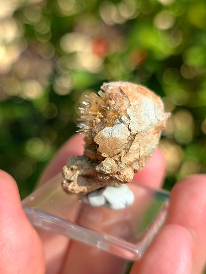 Magnifique Aragonite aciculaire de Tolède