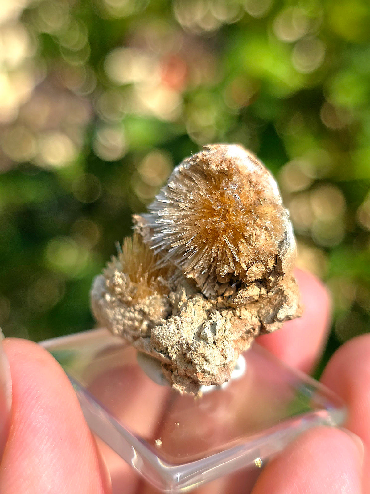 Magnifique Aragonite aciculaire de Tolède