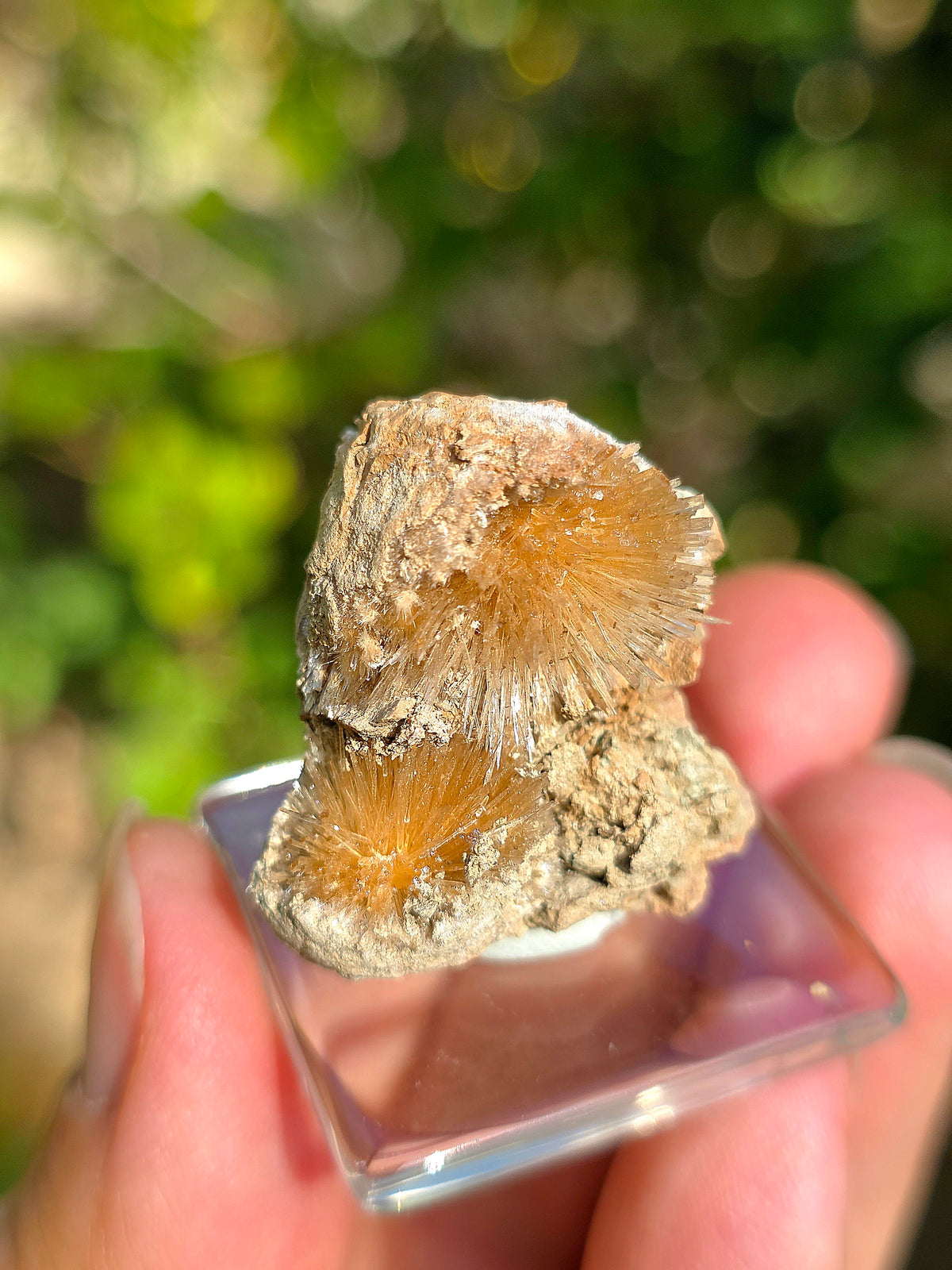 Magnifique Aragonite aciculaire de Tolède