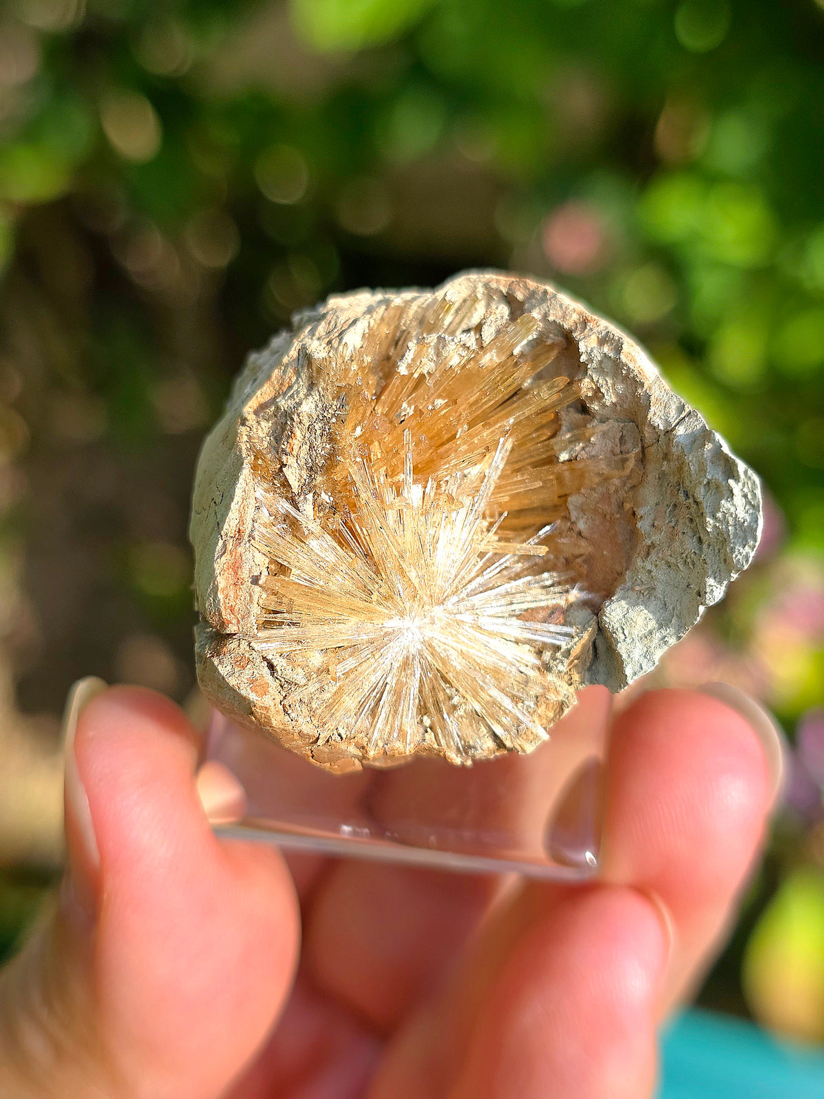 Aragonite aciculaire sur socle d'Espagne