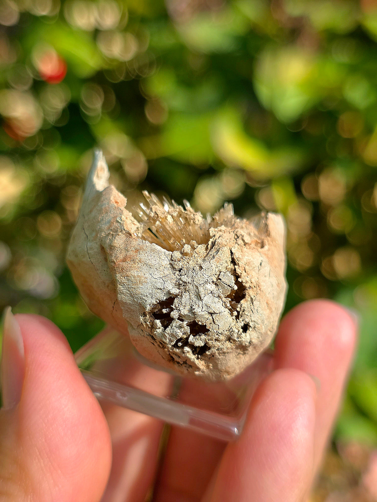 Aragonite aciculaire sur socle d'Espagne