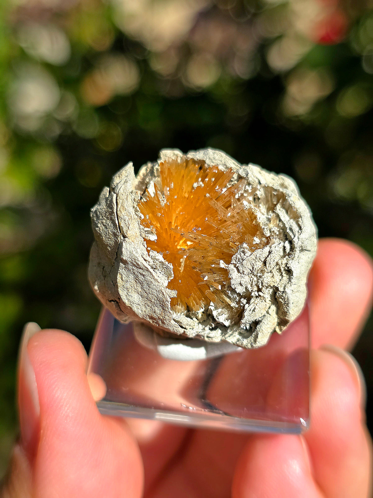 Magnifique Aragonite aciculaire sur socle