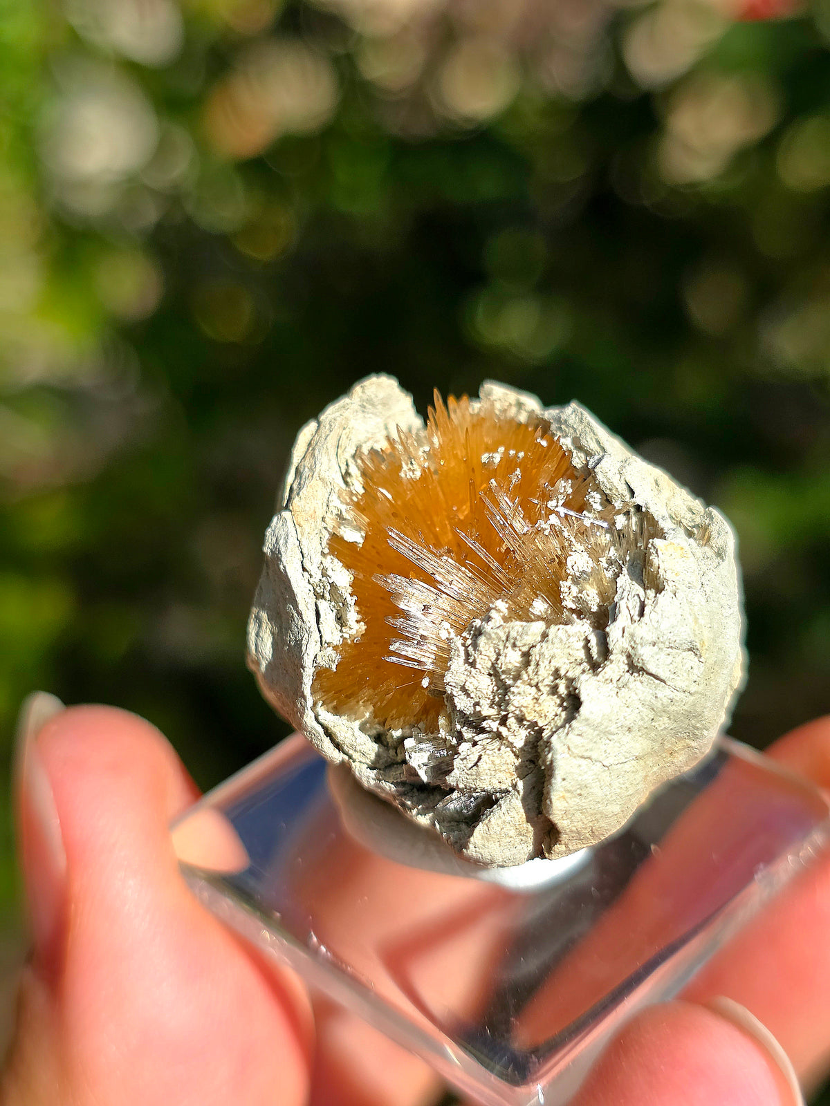 Magnifique Aragonite aciculaire