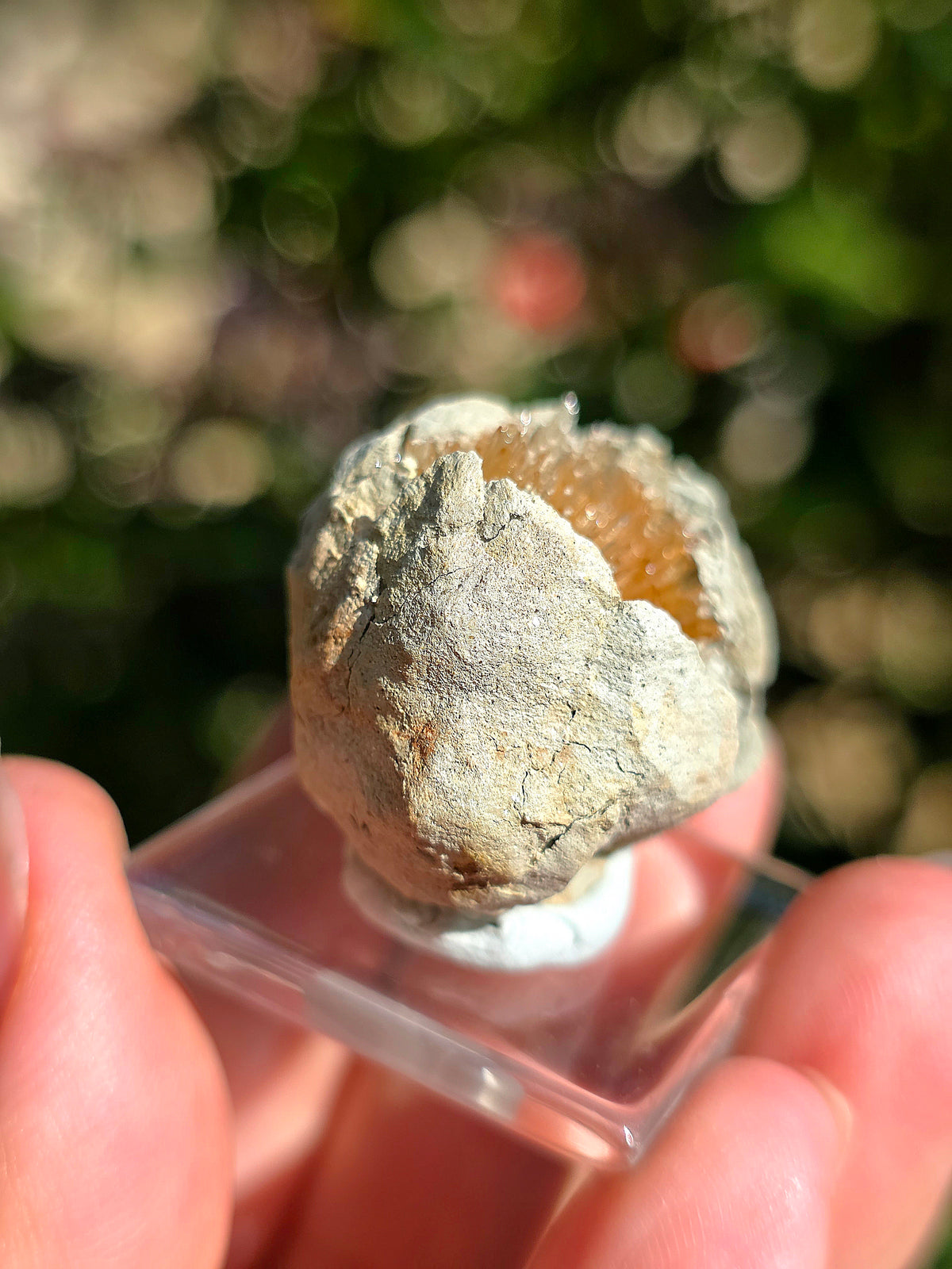 Magnifique Aragonite aciculaire d'Espagne