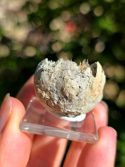 Magnifique Aragonite aciculaire