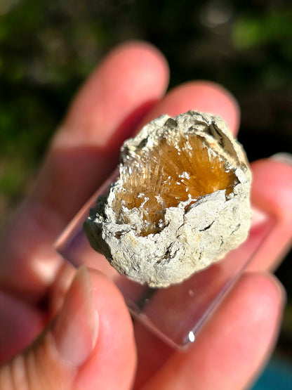 Magnifique Aragonite aciculaire d'Espagne