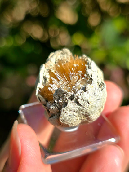 Magnifique Aragonite aciculaire