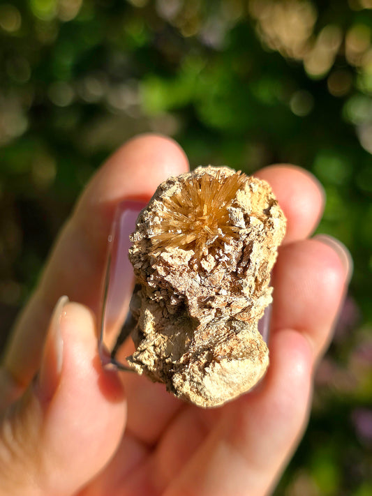 Aragonite aciculaire sur sa marne argileuse de Pantoja