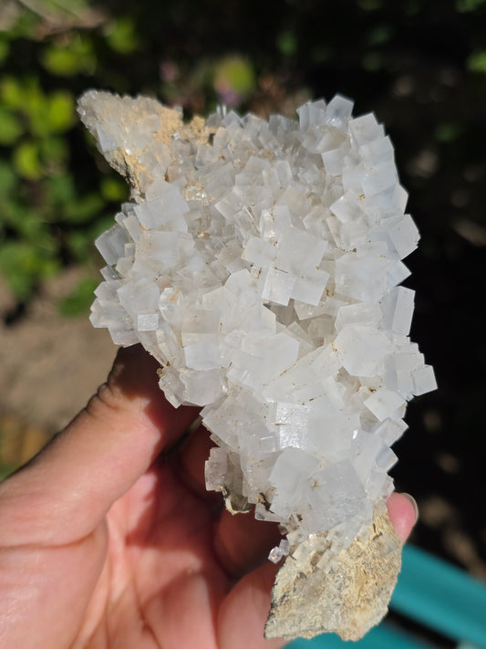 Halite espagnole réactive aux UV