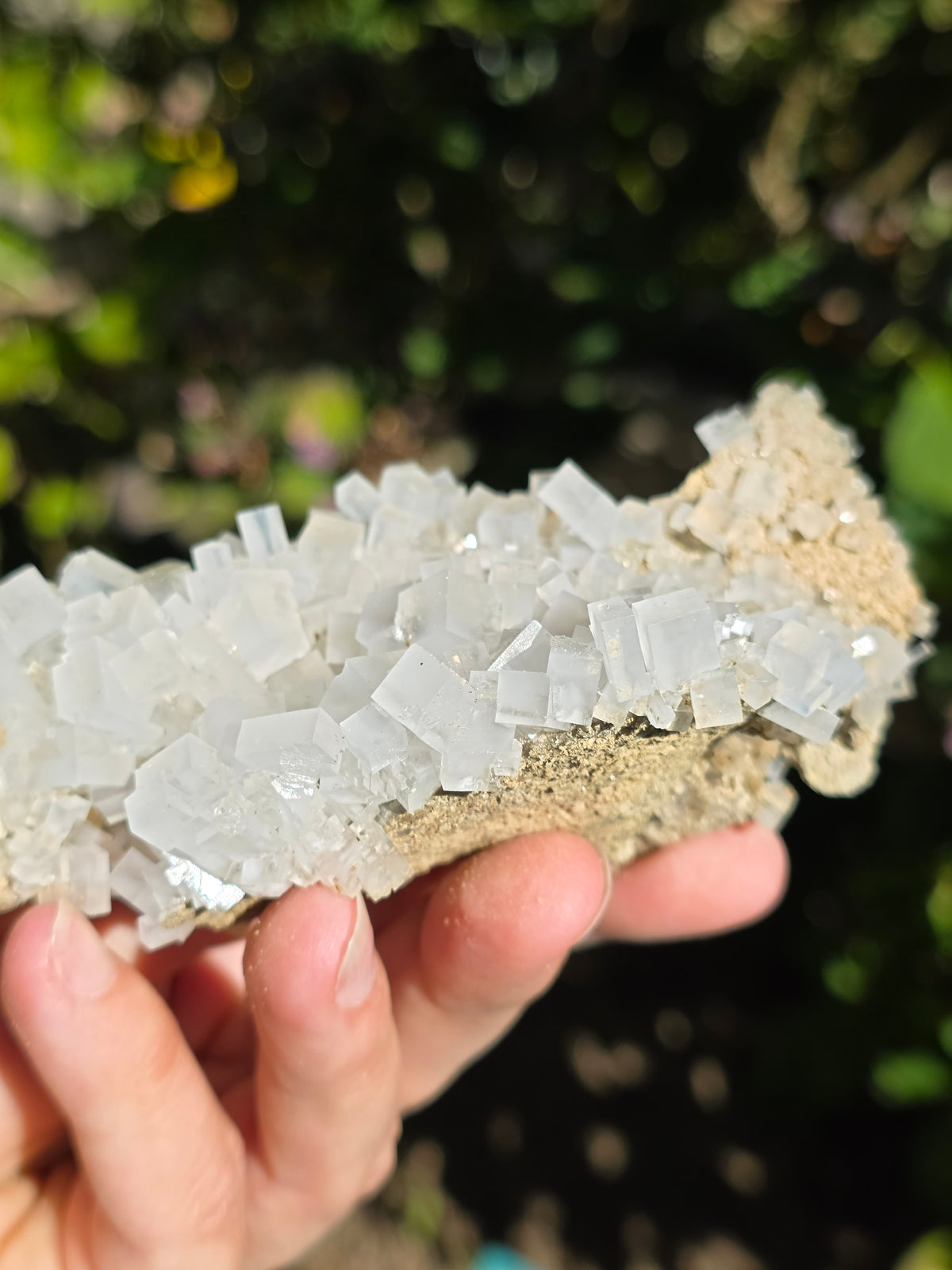 Halite espagnole réactive aux UV