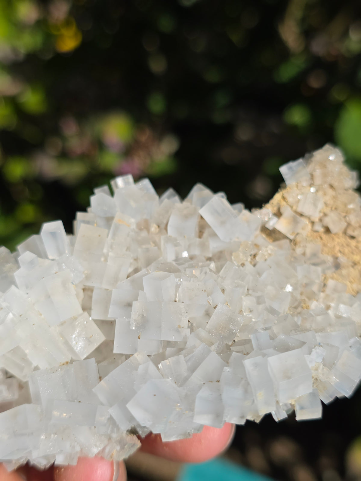 Halite espagnole réactive aux UV