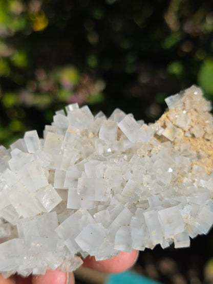 Halite espagnole réactive aux UV