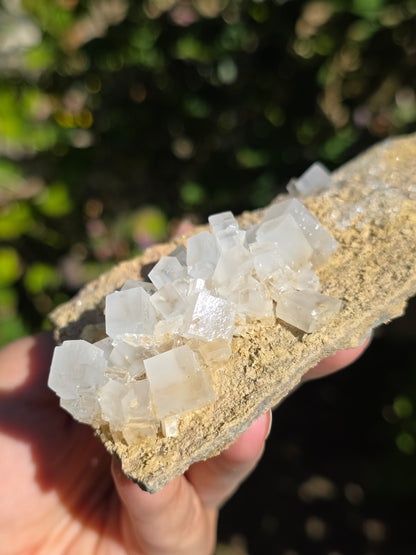 Halite espagnole réactive aux UV courts