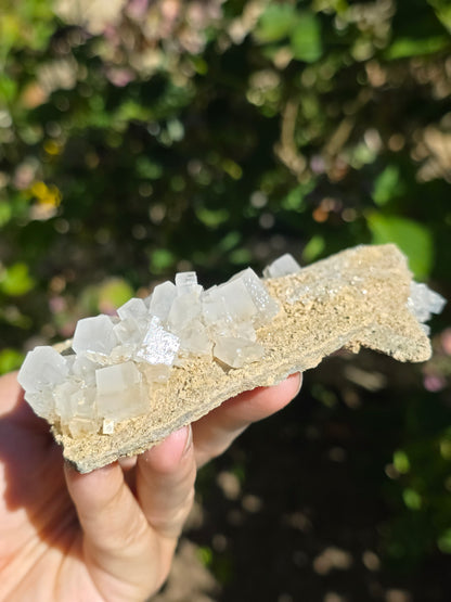 Halite espagnole réactive aux UV courts
