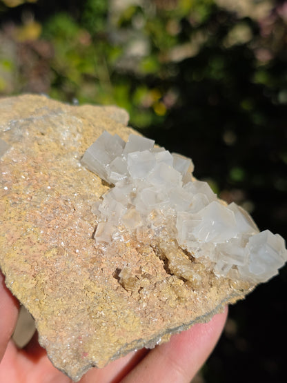 Halite espagnole réactive aux UV courts