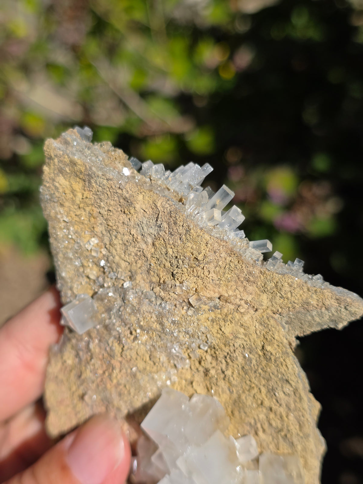 Halite espagnole réactive aux UV courts