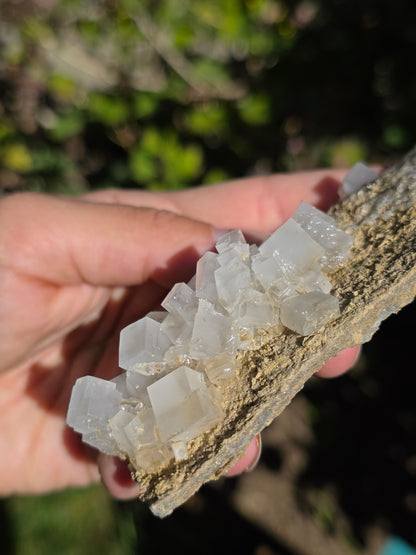 Halite espagnole réactive aux UV courts