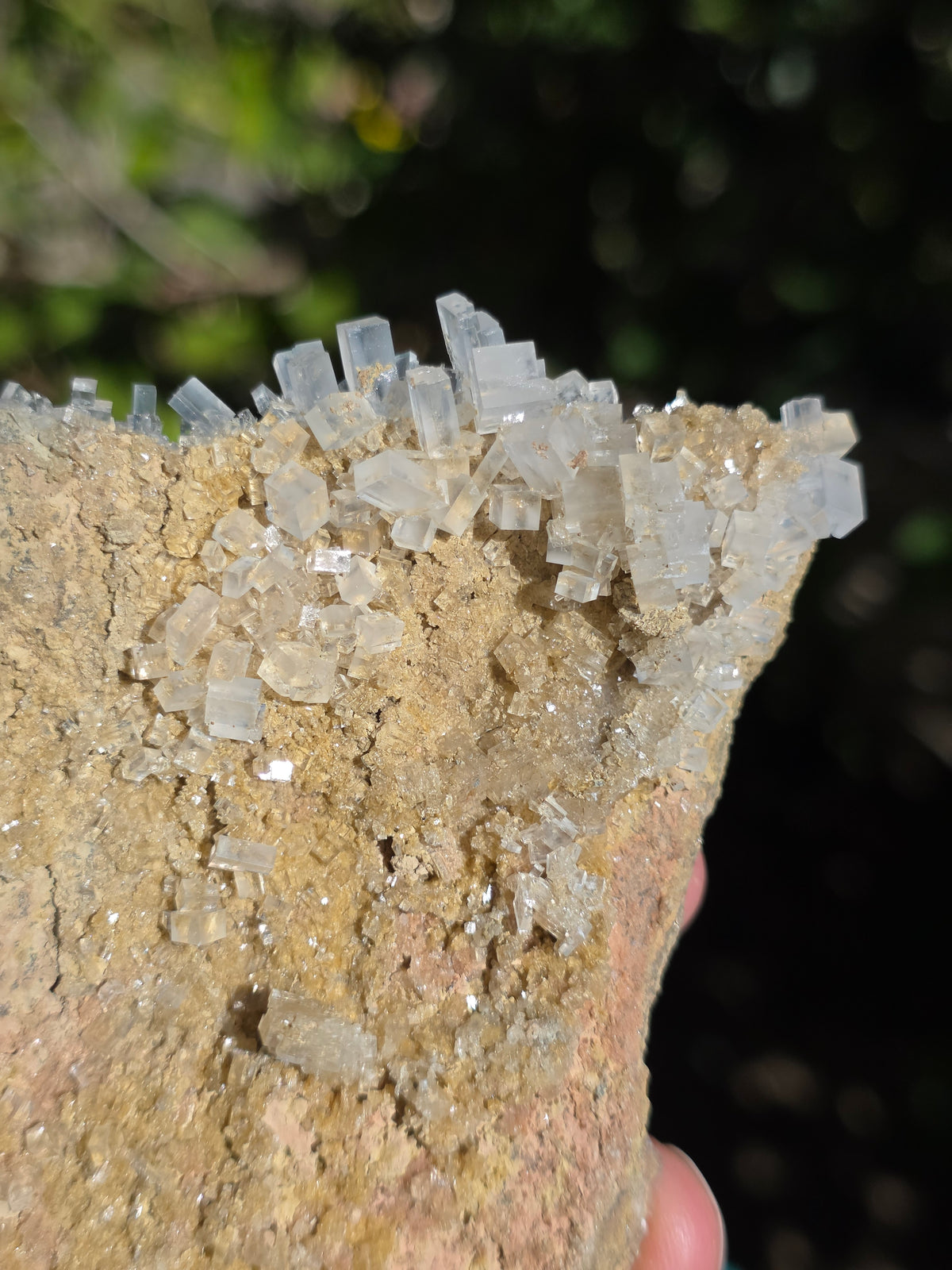 Halite espagnole réactive aux UV courts