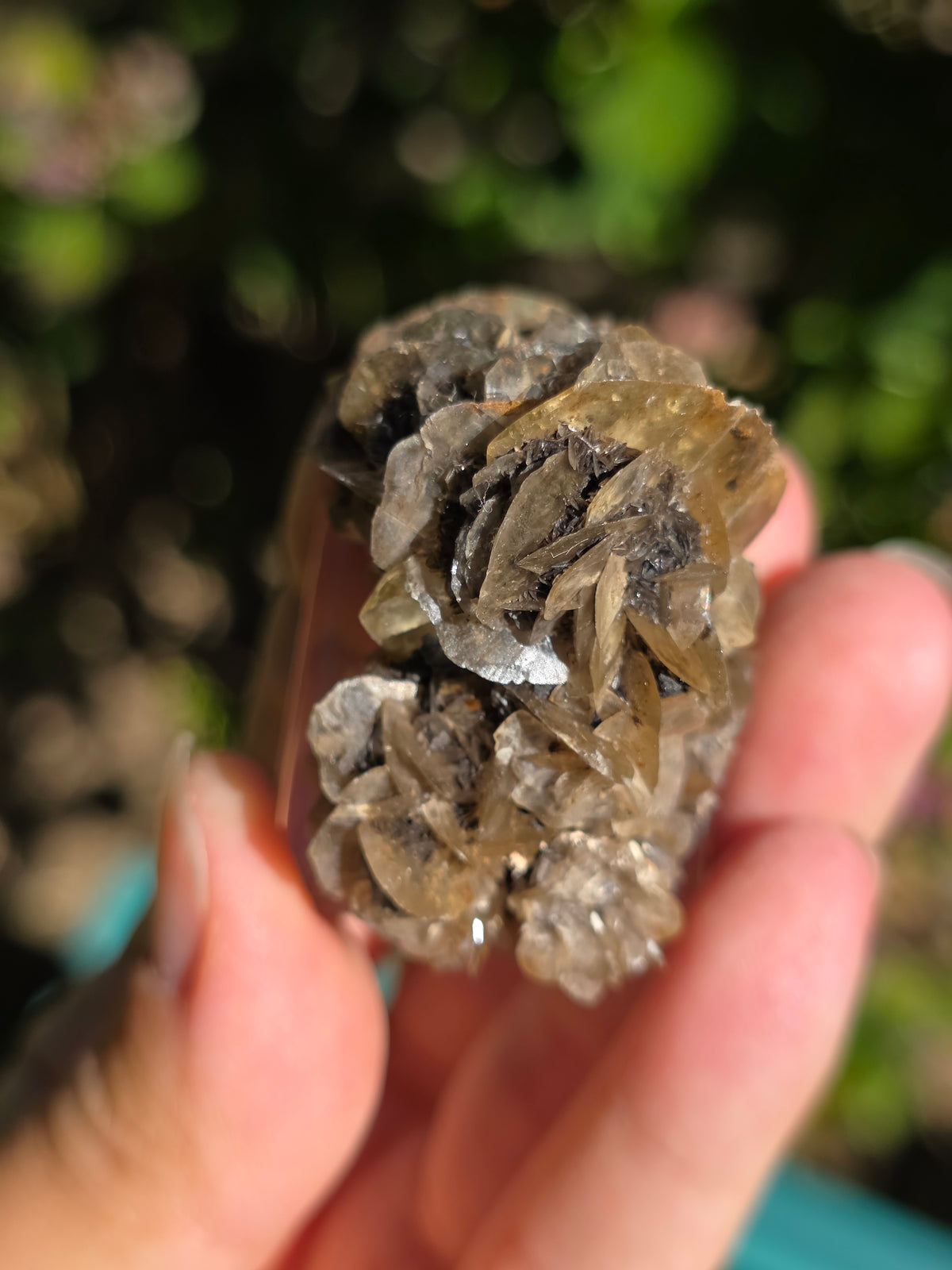 Rose de Gypse (Sélénite) de Hongrie B