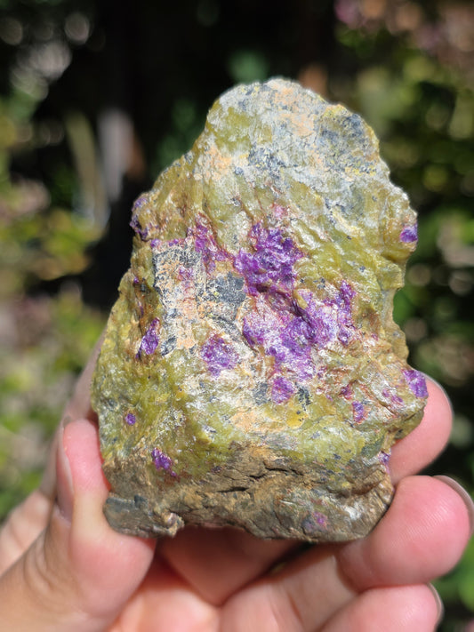 Atlantisite brute (Stichtite violette et Serpentine verte) de Tasmanie