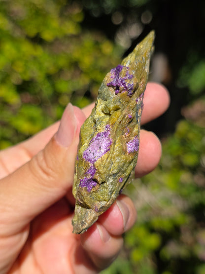 Atlantisite brute (Stichtite violette et Serpentine verte) de Tasmanie