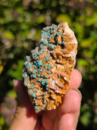 Malachite sur Gypse et Dolomite de Touissit Bou-Becker au Maroc