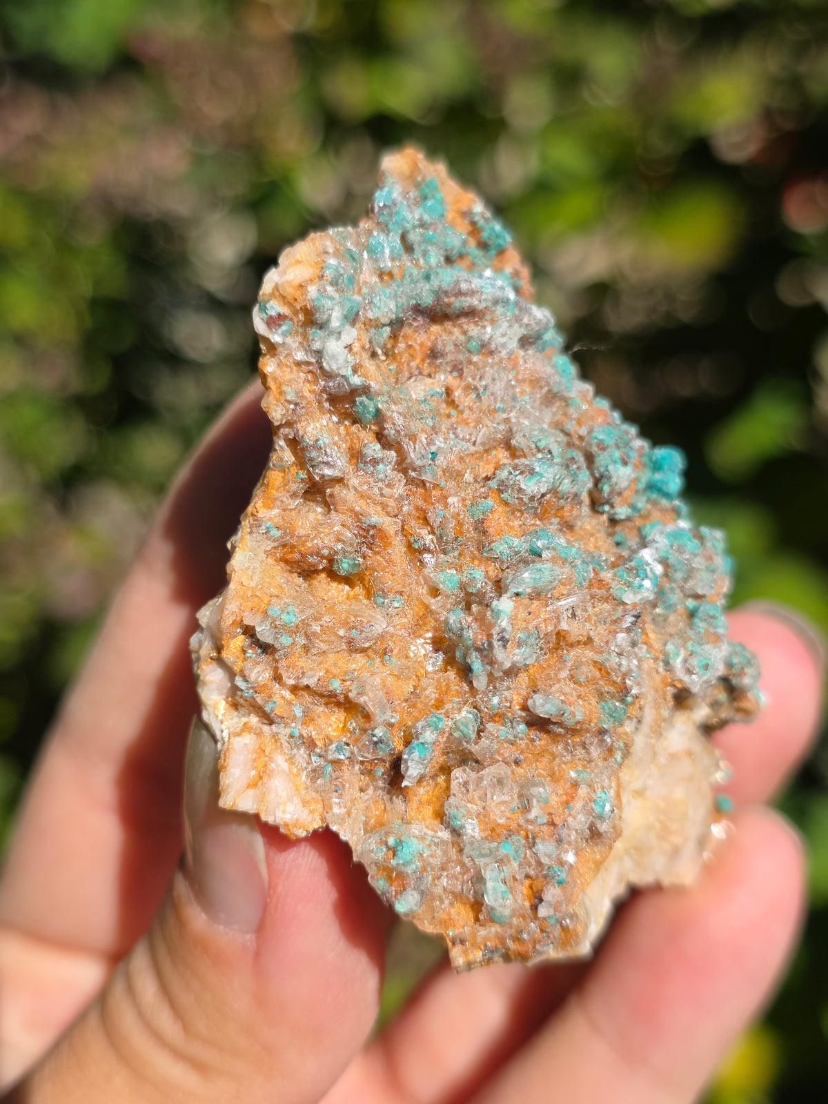 Malachite sur Gypse et Dolomite de Touissit Bou-Becker au Maroc