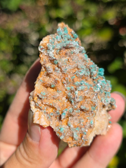 Malachite sur Gypse et Dolomite de Touissit Bou-Becker au Maroc