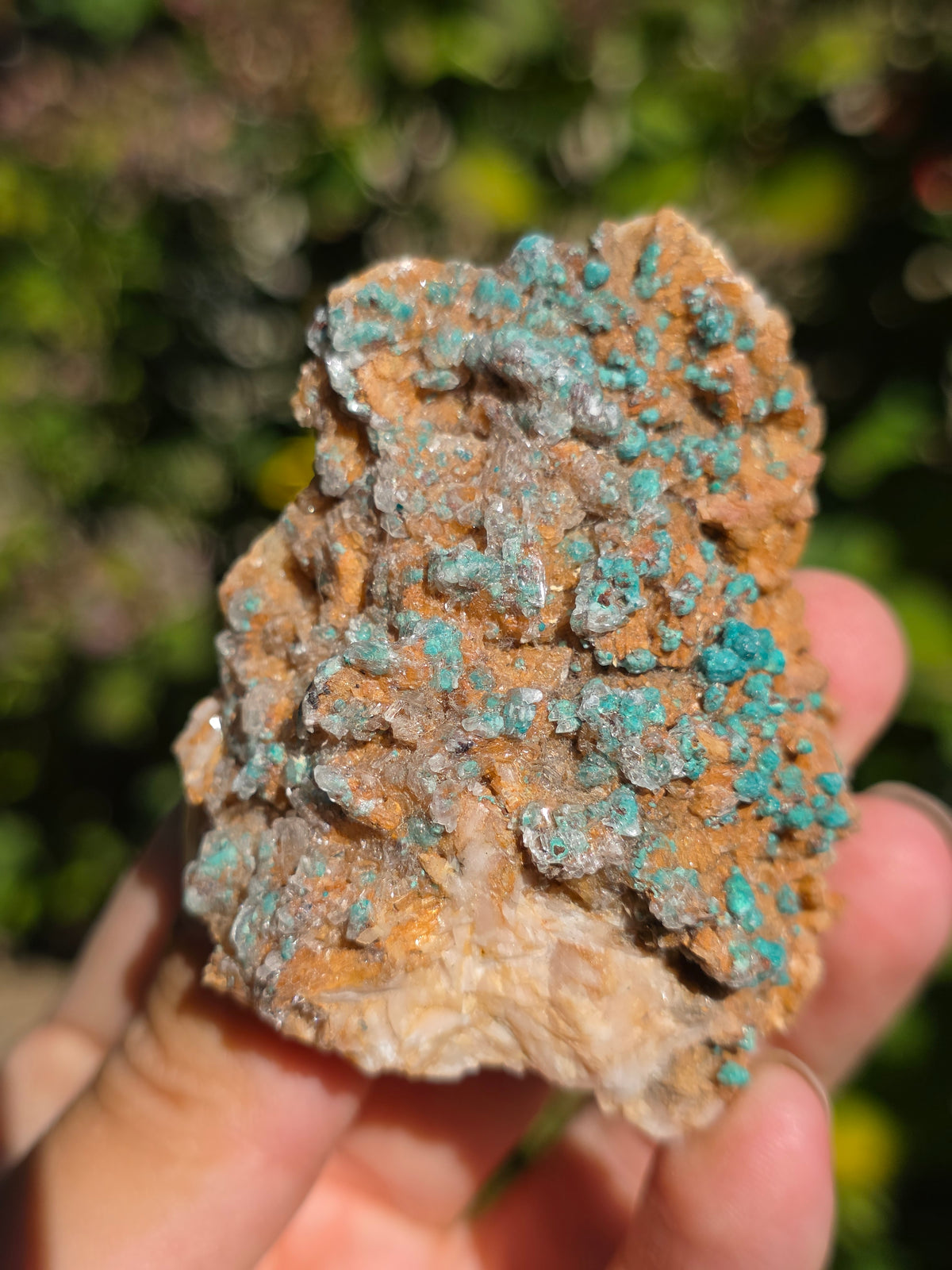 Malachite sur Gypse et Dolomite de Touissit Bou-Becker au Maroc