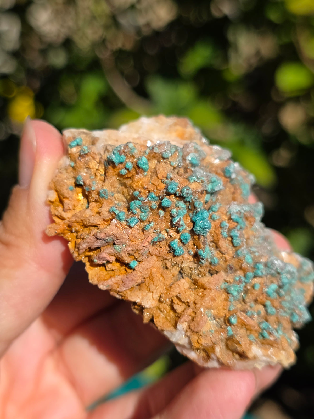 Malachite sur Gypse et Dolomite de Touissit Bou-Becker au Maroc