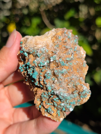 Malachite sur Gypse et Dolomite de Touissit Bou-Becker au Maroc